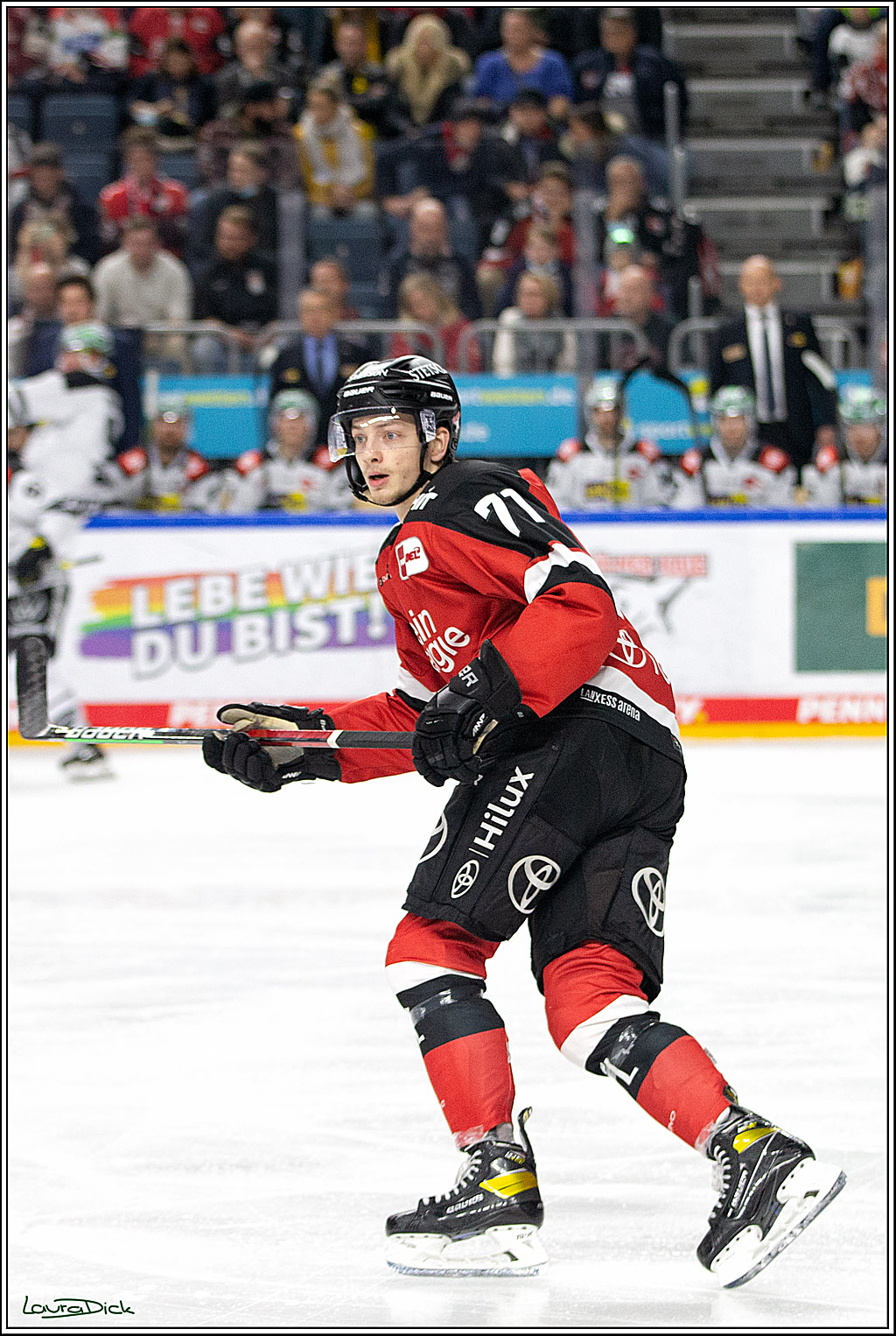 PENNY DEL;  Koelner Haie - Krefeld Pinguins; Koeln, 31.10.2021
